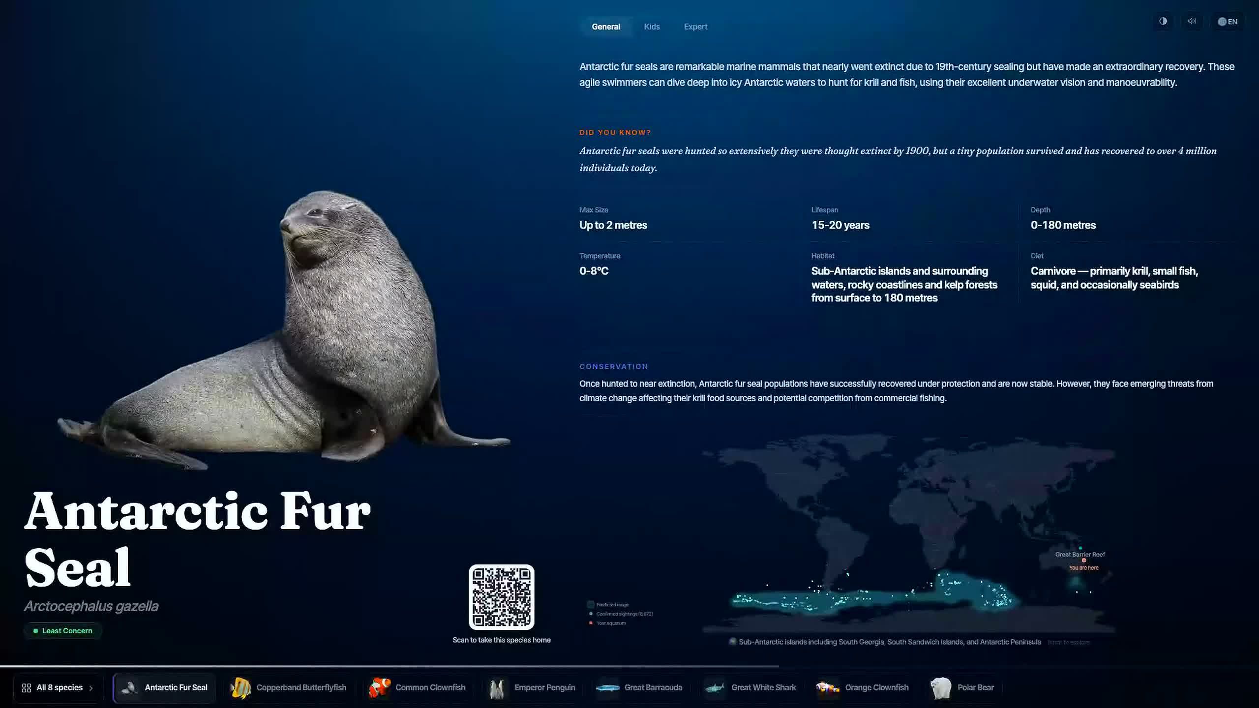 A Slate exhibit screen