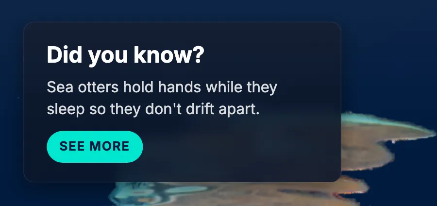 The corner did-you-know card