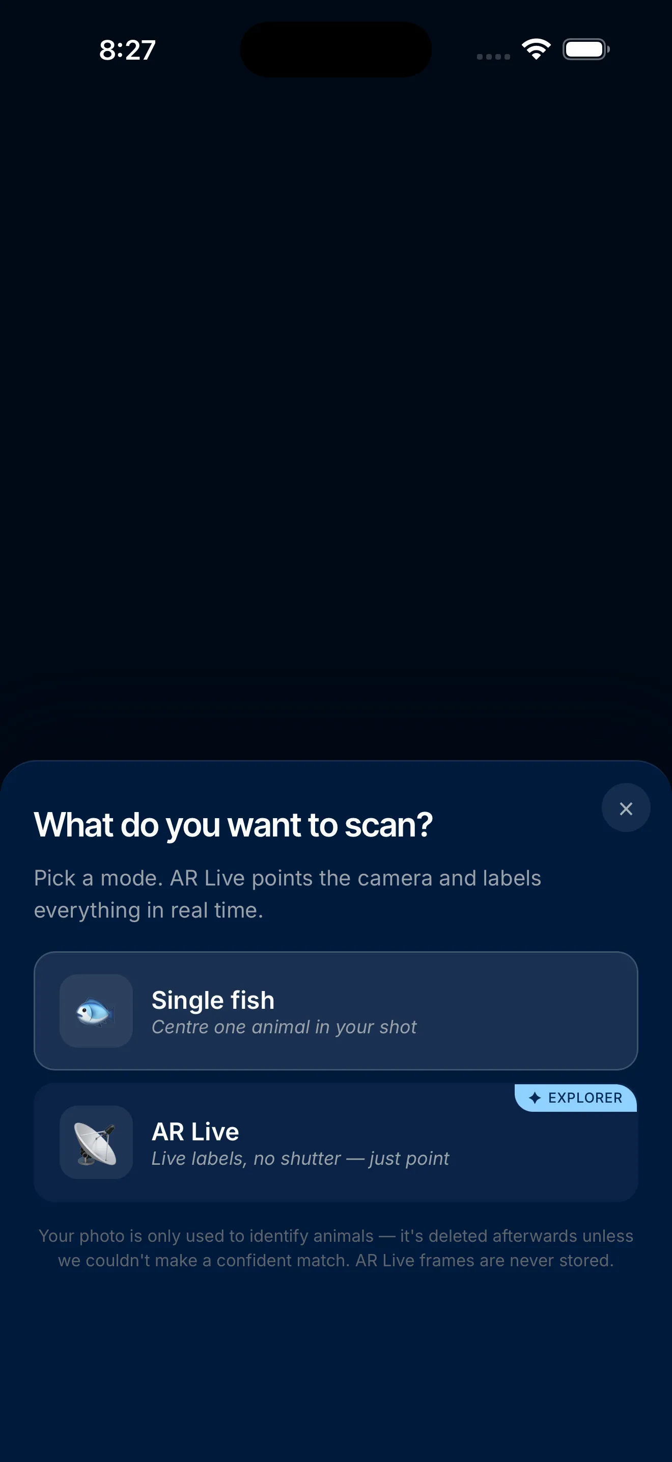 AR scanning in the Slate companion app — point the camera to identify an animal