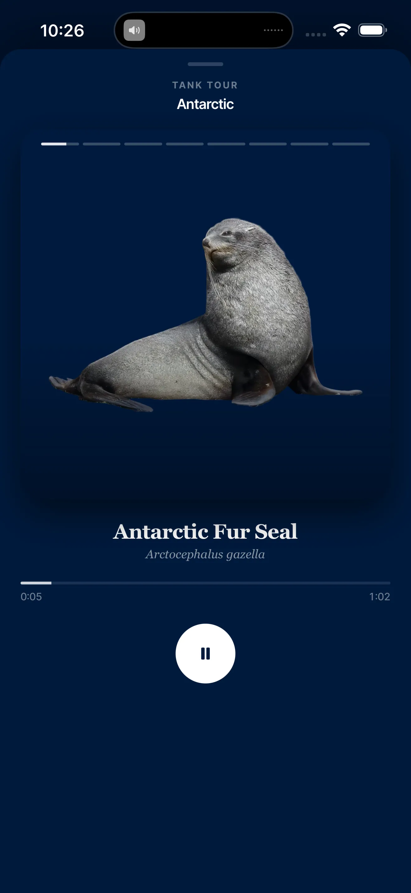 A whole-tank audio tour playing in the Slate companion app — Antarctic exhibit